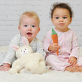 Load image into Gallery viewer, Carrot Veggie Toy