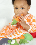 Load image into Gallery viewer, Carrot Veggie Toy