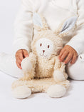 Load image into Gallery viewer, Snuggle Bunny Lovey w/ Blue Stripe Ears