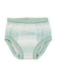 Load image into Gallery viewer, Potty Training Pants - Sea Breeze Stripe