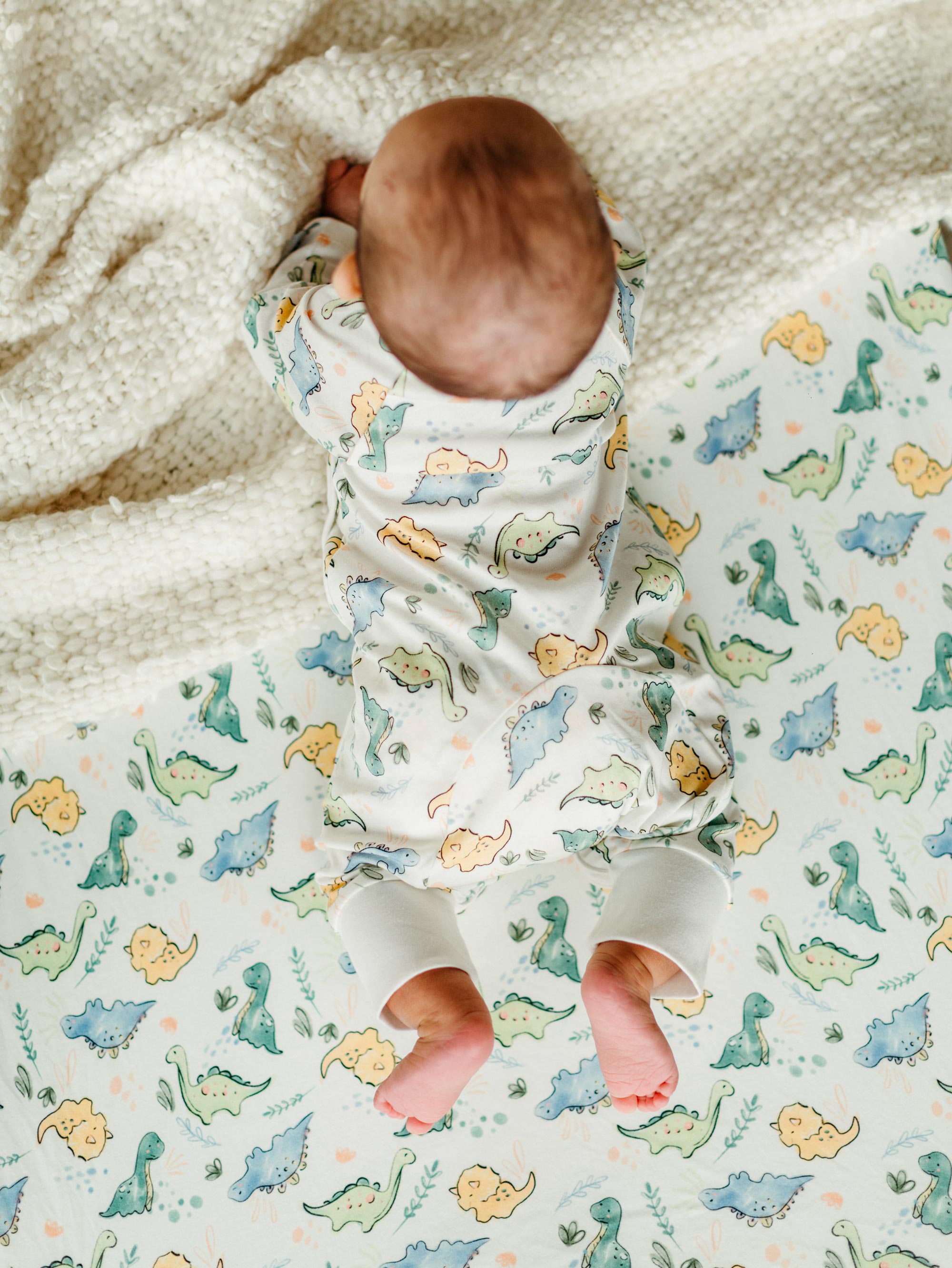 Playpen/Playard Sheet - Dino