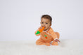 Load image into Gallery viewer, Carrot Veggie Toy

