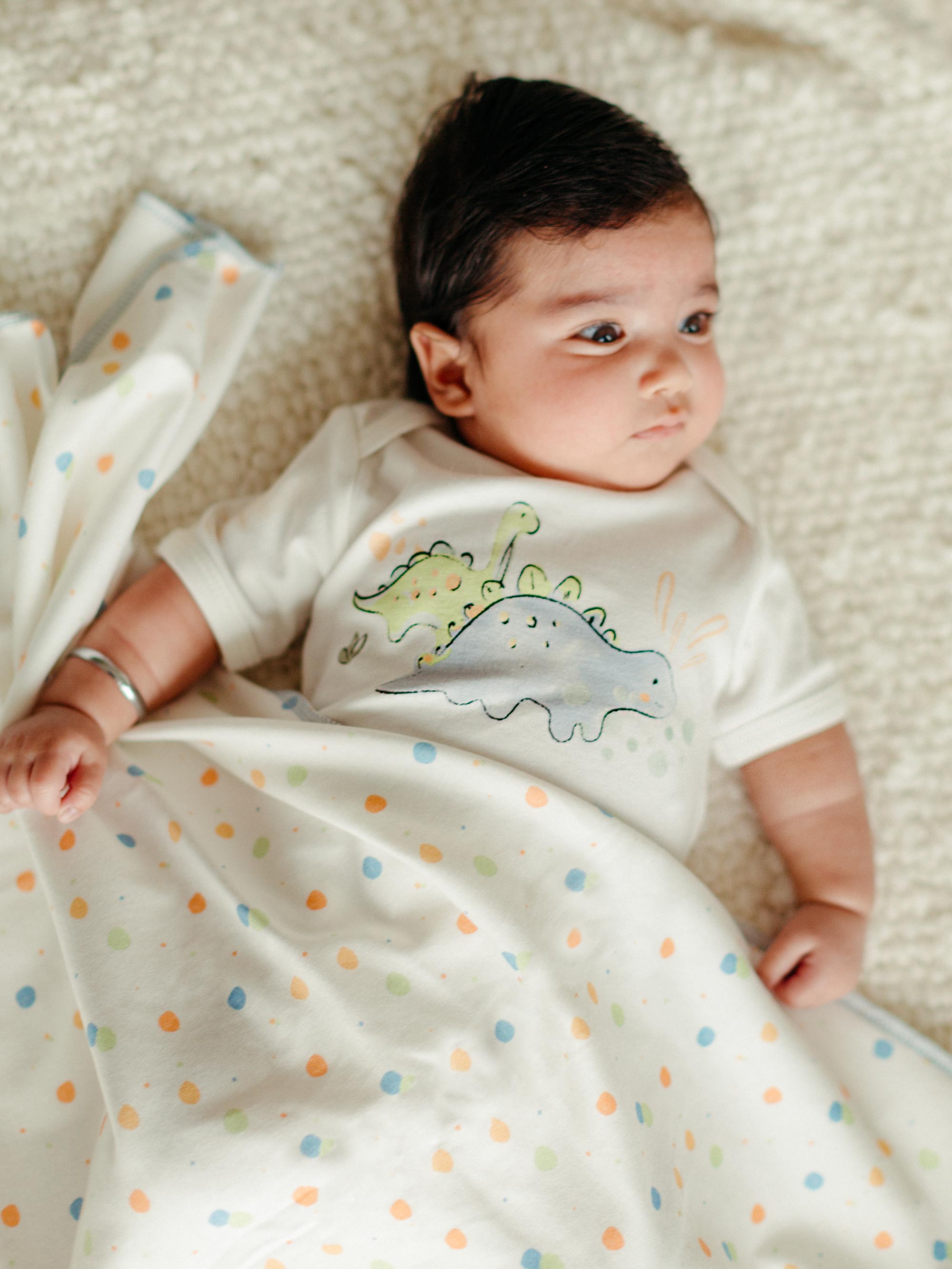 Onesie/Bodysuit - Short Sleeve - Dino Screenprint