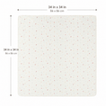 Load image into Gallery viewer, Organic Egyptian Cotton Receiving Blanket – Toy Shop Print
