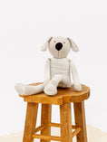 Load image into Gallery viewer, Buddy the Dog - Grey Ombre Stripe
